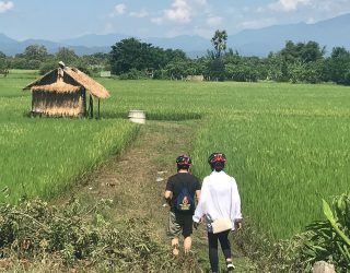 Tussen de rijstvelden tijdens fietstocht in Chiang Mai