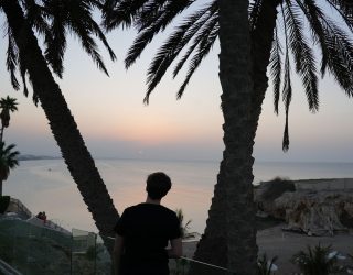 Tussen de palmbomen bij verblijf in Muscat