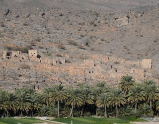 Groen in Jebel Shams
