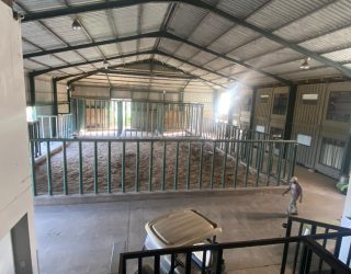 Samenkomstplek van olifanten in Knysna