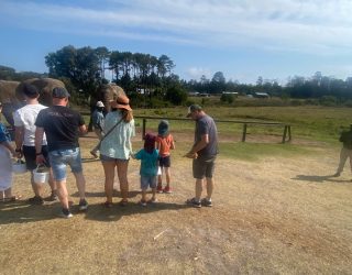Familie maakt kennis met olifanten in Knysna