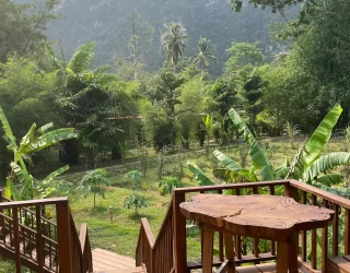 Terras in natuur Thailand review Van Vaerenbergh