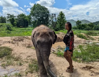 Olifant in Thailand review familie Leus
