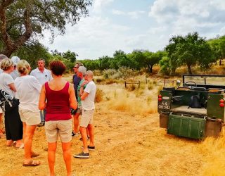 Corktracking in Portugal