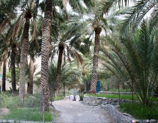 Vertrek uit Balad Sayt