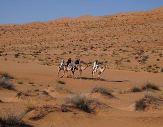 Kamelenrit in de woestijn van Oman