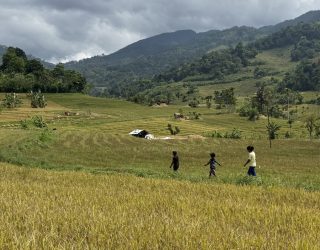 Hike tussen velden in Kandy