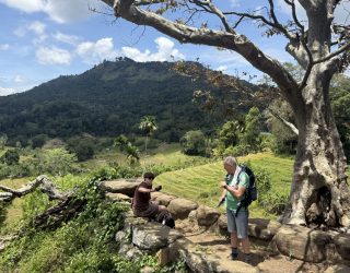 Natuur aan de voet van Knuckles Mountains