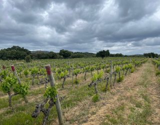 Velden corktracking Portugal