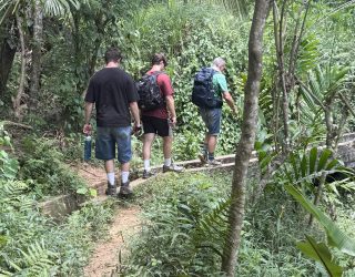 Hiken in bossen Sri Lanka