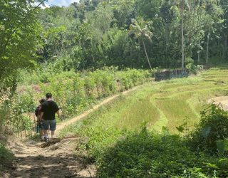 Familiehike tussen velden Kandy
