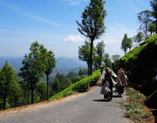 Inwoners tussen theeplantages in Sri Lanka